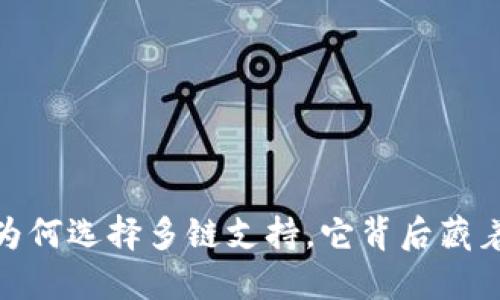 揭秘TP钱包：为何选择多链支持，它背后藏着怎样的秘密？