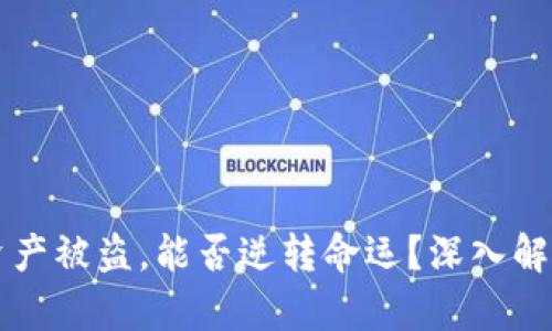 冷钱包资产被盗，能否逆转命运？深入解析与对策