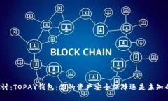深入探讨：TOPAY钱包：你的