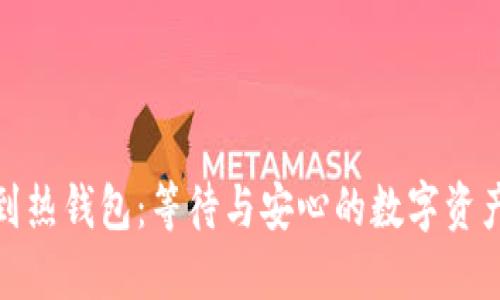 从冷钱包到热钱包：等待与安心的数字资产转移之旅