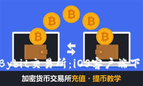 轻松掌握Bybit交易所：iOS客户端下载全攻略！