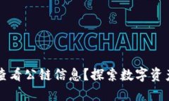 如何在TP钱包中查看公链信息？探索数字资产管理