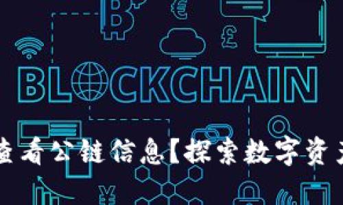 如何在TP钱包中查看公链信息？探索数字资产管理的全新方式