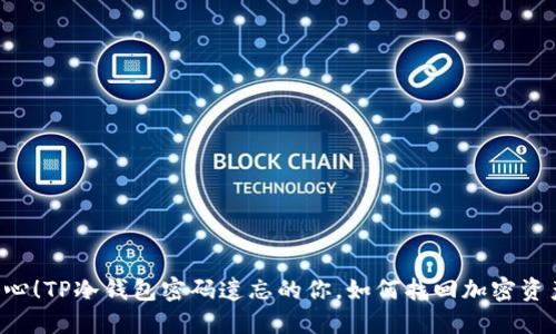 当心！TP冷钱包密码遗忘的你，如何找回加密资产？