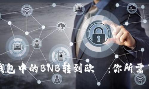 轻松将TP钱包中的BNB转到欧昜：你所需了解的一切