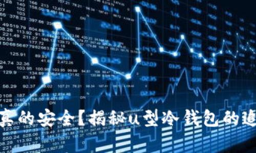 冷钱包真的安全？揭秘u型冷钱包的追踪之谜