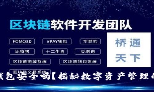 TP钱包子钱包安全吗？揭秘数字资产管理的隐秘之道