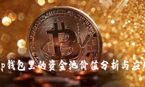 tp钱包里的资金池价值分析与应用
