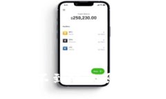  caldo TP钱包充值不到账的原因及解决方法