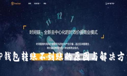 TP钱包转账不到账的原因与解决方法