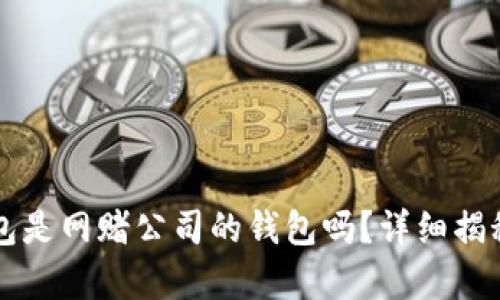 钱能钱包是网赌公司的钱包吗？详细揭秘与分析