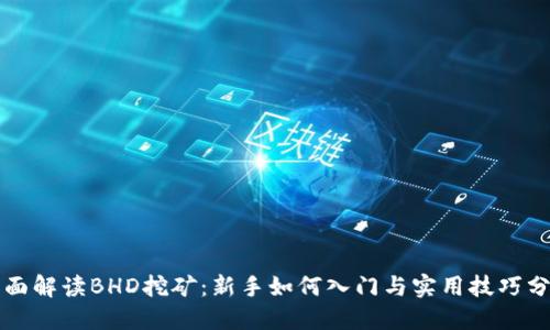 全面解读BHD挖矿：新手如何入门与实用技巧分享