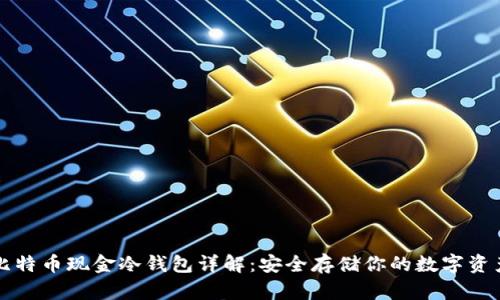 比特币现金冷钱包详解：安全存储你的数字资产