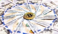 交易所游资与冷钱包的区别：全面解析