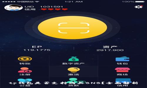 tp钱包是否支持购买BNB？全面解析