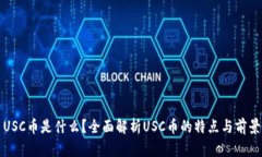 USC币是什么？全面解析U