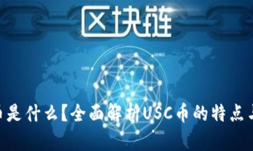 USC币是什么？全面解析USC币的特点与前景