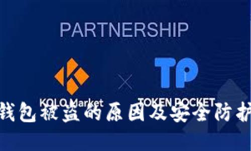 : TP钱包被盗的原因及安全防护措施